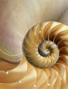 Immagine home page